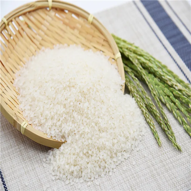 Vietnam Japonica rice 5% Broken Short Grain White Rice With ITS HEALTH CER HACCP BRC NON GMO    Viber/Whatsapp no.:  84961563171