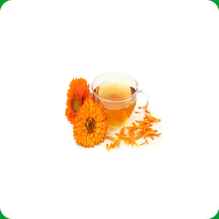 Bulk Supply Calendula Essential Oil