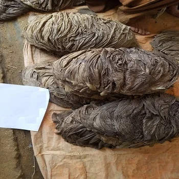 Beef Omasum,Salted Beef Omasum Good Price..