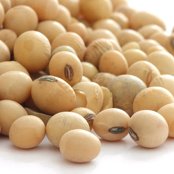 Основной продукт Soybean SBDM для корма для животных от поставщика Duy Minh