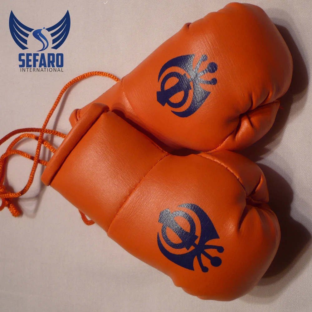 Wholesale Supplied Design your own 8oz/10oz/12oz/14oz/16oz boxing Professional Boxing Gloves Pu Leather Training Boxing Gloves