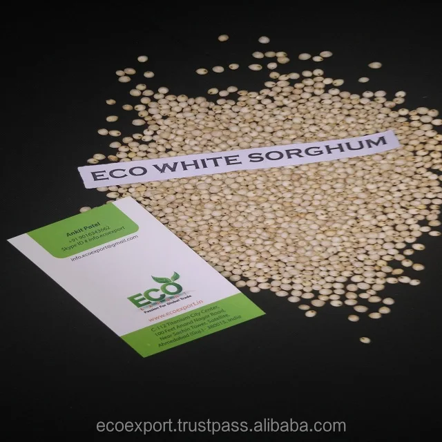 Молочный белый сорго