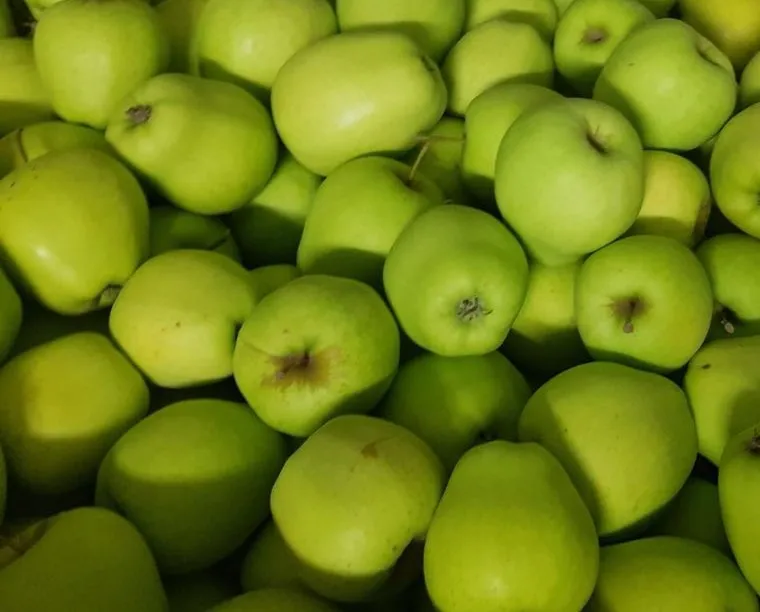 Fresh Green apples Granny Smith  Greek origin green apples for export