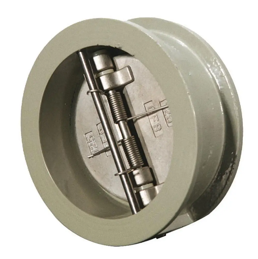 DN250 Dual Plate Check Valve