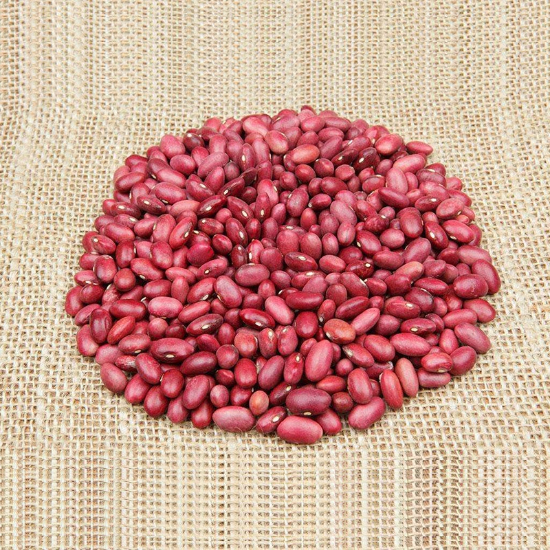 
New Crop 2019 High Quality Dried Small Red Kidney Bean 