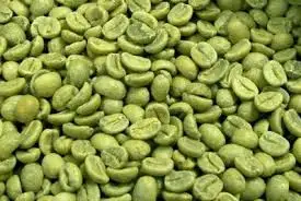 Green coffee bean for diet - Ms.Holiday in 2021