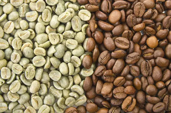 
Green coffee beans high quality factory 