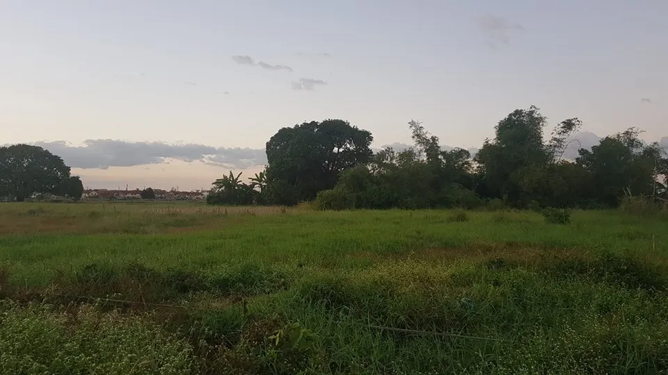 
Piece of Land for sale in the Philippines 