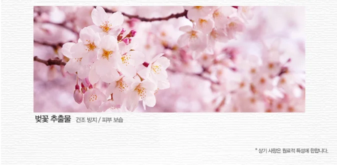 [the SAEM] Perfumed Hand Essence -Cherry Blossom, skin care, 30ml, Korea Cosmetic