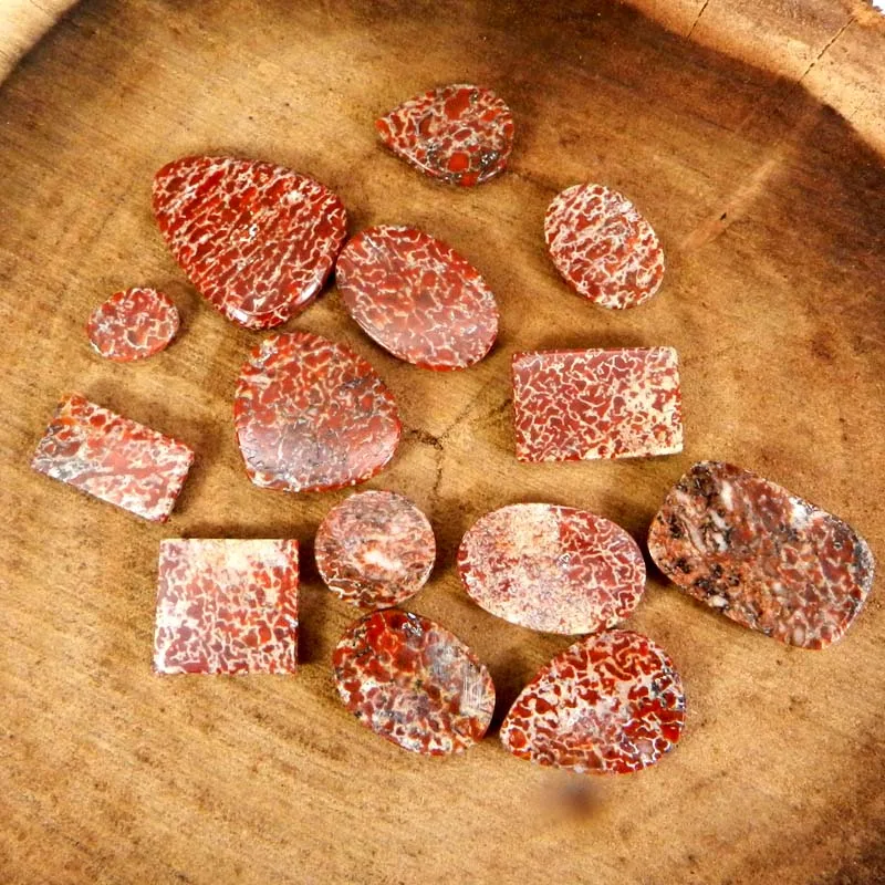 50 Gram wholesale lot dinosaur bone gemstone mix shape cabochon gemstone