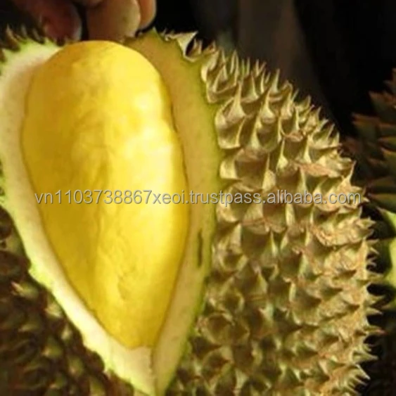 DURIAN VIET NAM/FRESH DURIAN /MS. Holiday +84-845-639-639 (Whatsapp)