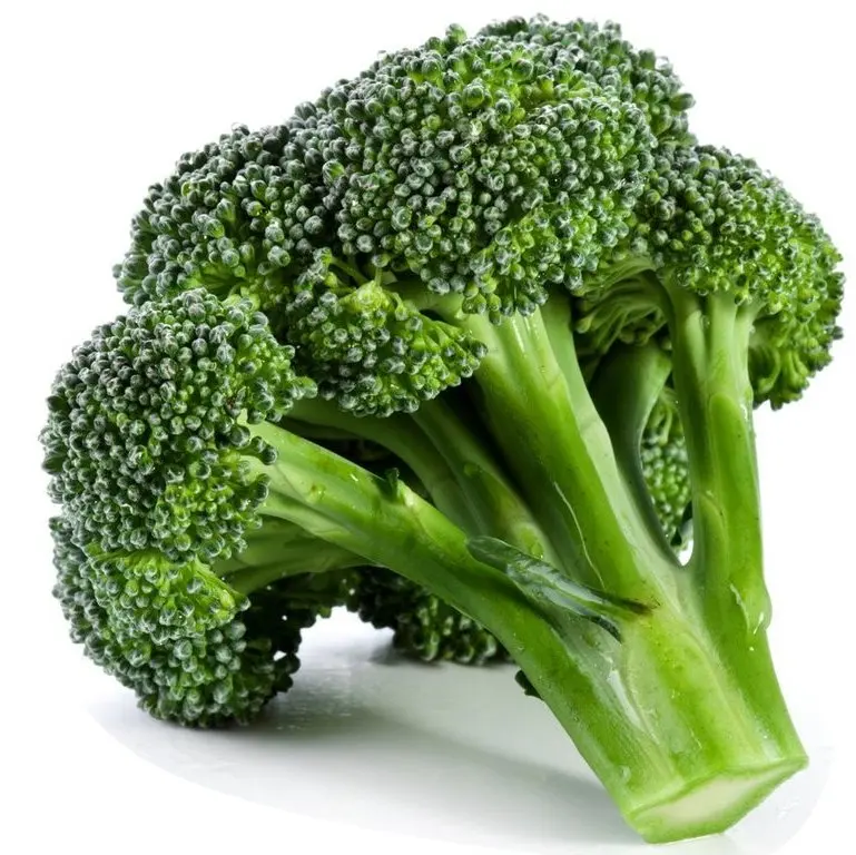 Fresh Broccoli for sale best price and Quality , iceberg lettuce Ready to Export