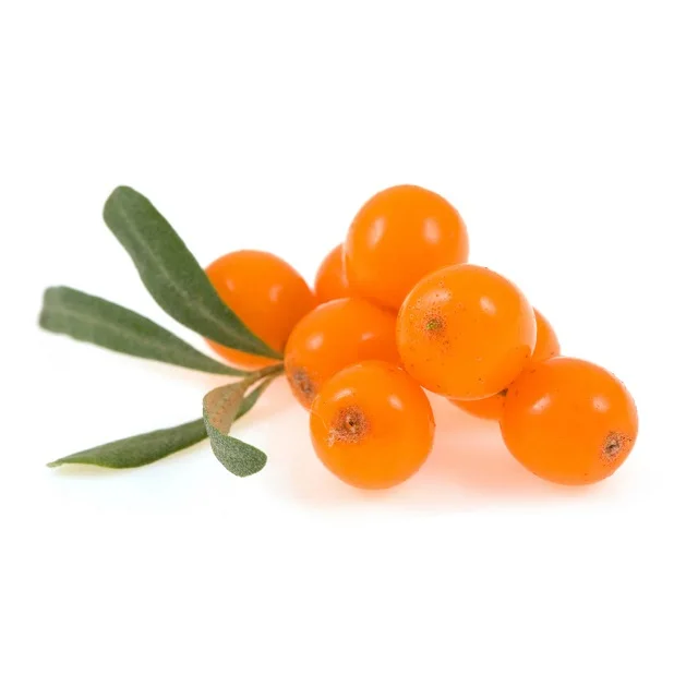 Get Sea Buckthorn Carrier Oil at bulk prices