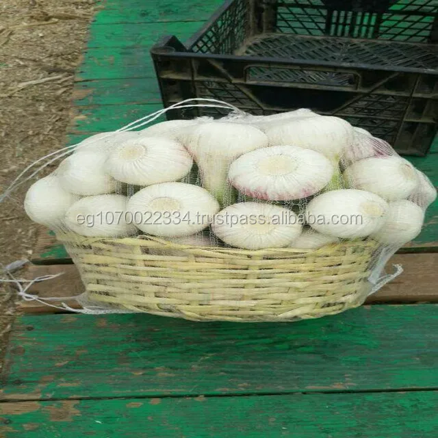 PREMIUM FRESH GARLIC! SPECIAL PRICE!