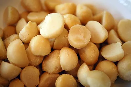 
Quality Raw Macadamia Nuts in Shell 