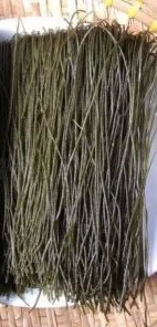 Organic Moringa Rice Noodles from Viet Nam with high quality (whatsapp +84 845 639 639)
