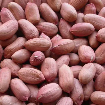 
High Quality Peanut, Groundnuts 