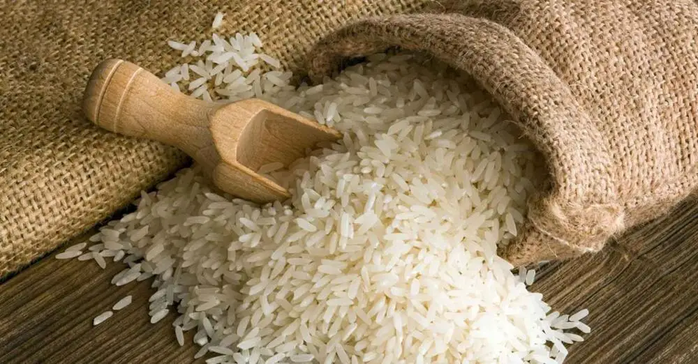 1121 White cremy Sella Rice