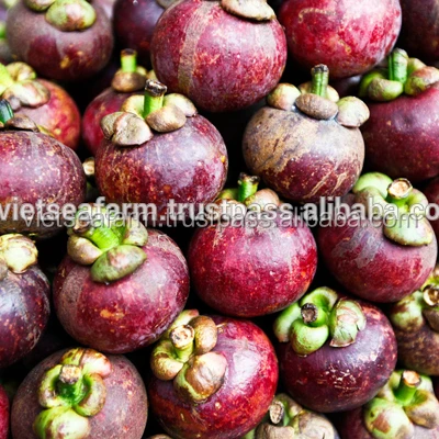 HIGH QUALITY 100% FRESH TASTY MANGOSTEEN FRUIT SPECIAL FROM VIETNAM WITH COMPETITIVE PRICE