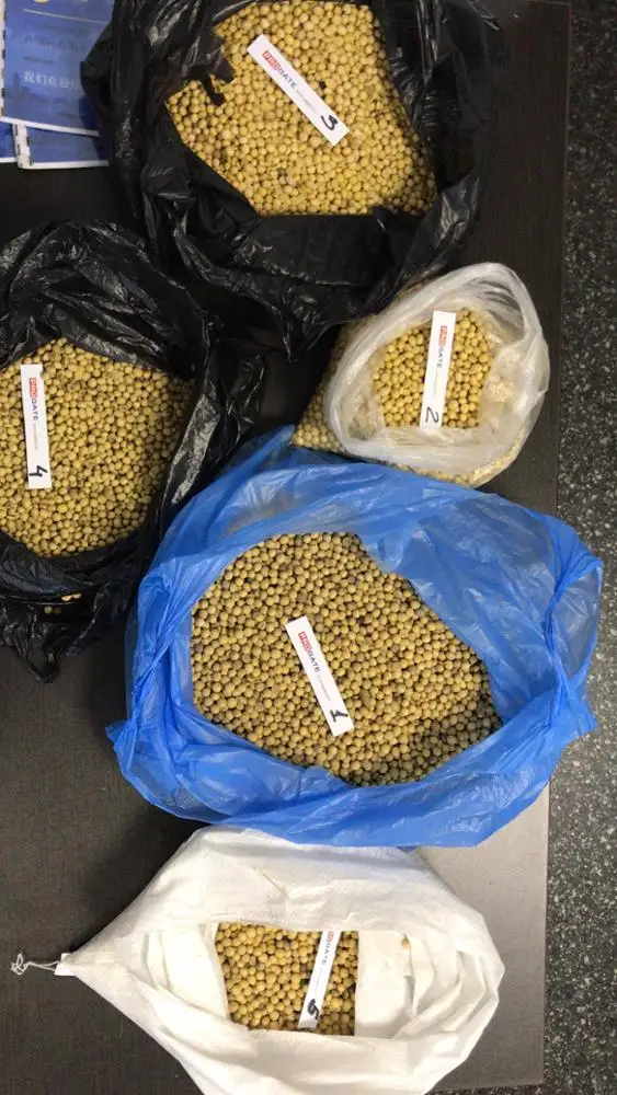 Soya beans