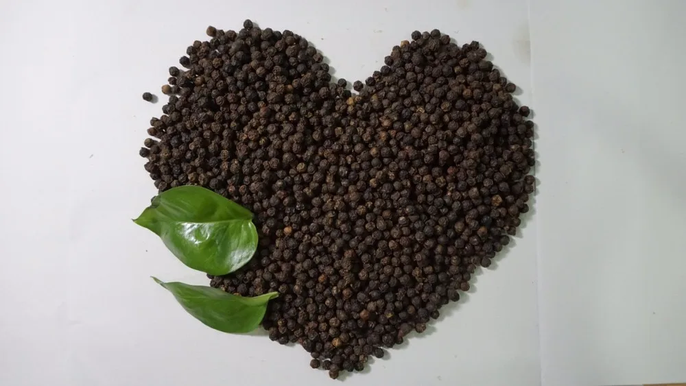 High Quality 50KG Vacuum Packed Vietnam Fresh Hand-Picked Black Pepper 550 GL/L From HUYNHGIA Manufacturer