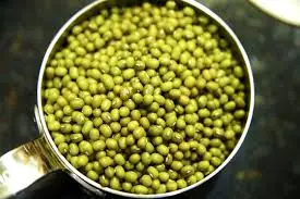 
Fresh round green mung bean price 