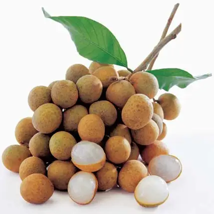 Fresh Longan High Quality Product from Thailand