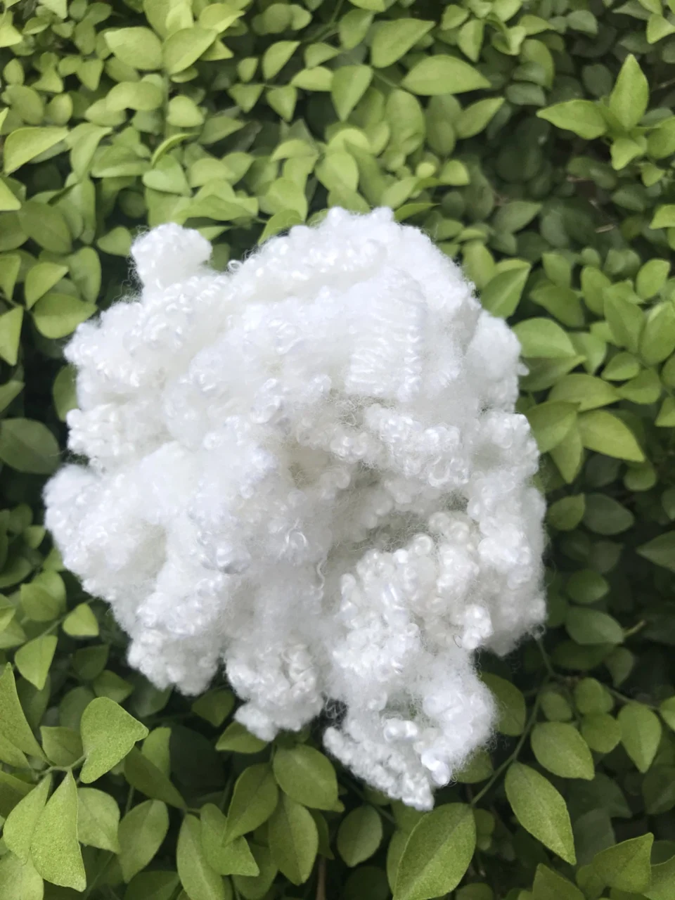 100% polyester Staple Fiber Recycled 15D HCS/HC