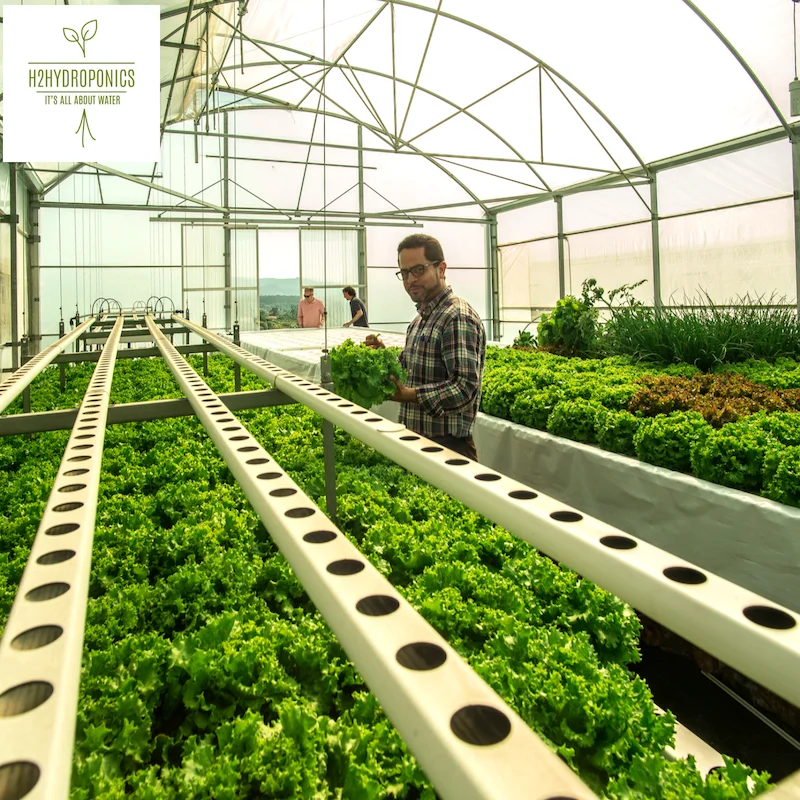 
Hydroponic Trays and NFT Channels for Hydroponic Systems 