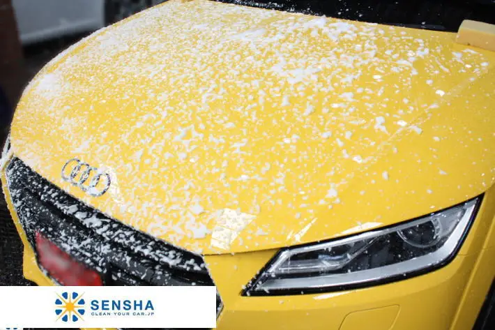 Japan original car wash shampoo BODY CLEAN (high concentrated) 800ml set by SENSHA