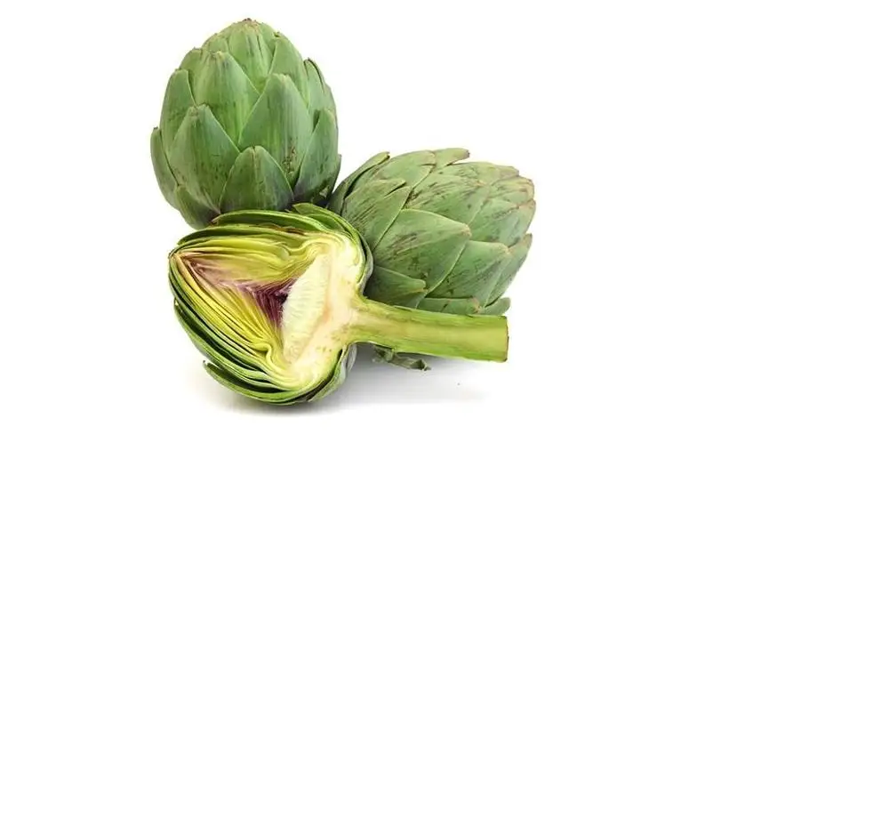 Dried atiso flower - Flower Atiso - Dried artichoke flower Ms Sophie  WHATSAPP+84-845-639-639