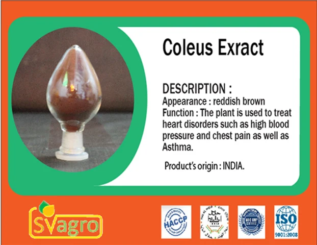 Top quality Coleus Forskohli Extract Coleus forskolin colforsin makandi maohouqiaoruihua pashanabhedi