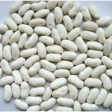 White kidney beans / Red kidney beans / Light Speckled Kidney Beans