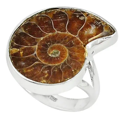 Natural Brown Ammonite Fossil value 925 silver ring Size 8