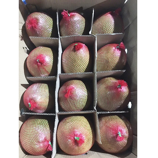 HIGH QUALITY GREEN SKIN POMELO FROM VIET NAM