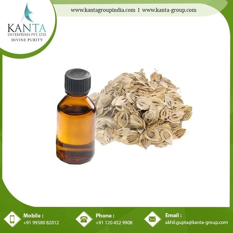 Pure Organic Angelica Essential Oil  helps in Protecting the Liver Available at Best Price in India