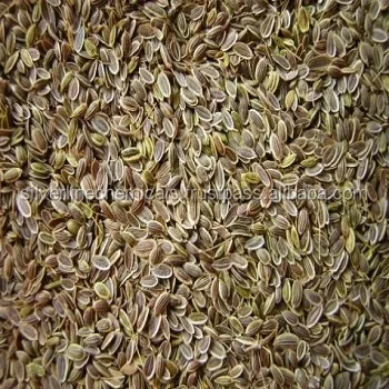 Dill seed oil BP exporters