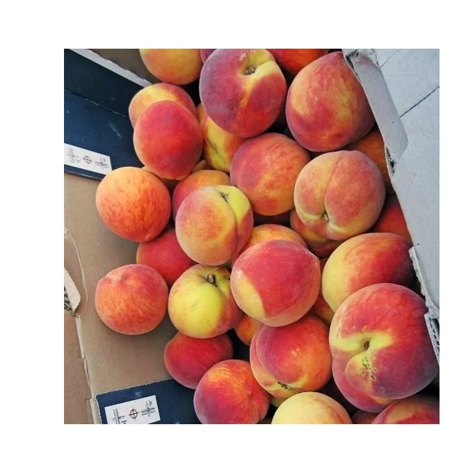 
Свежие персики 