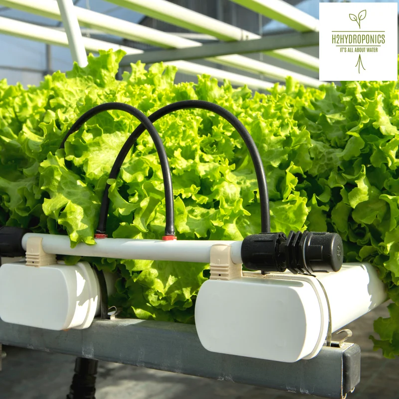
Wholesale led grow light full spectrum, hydroponics grow kit and vertical farming 