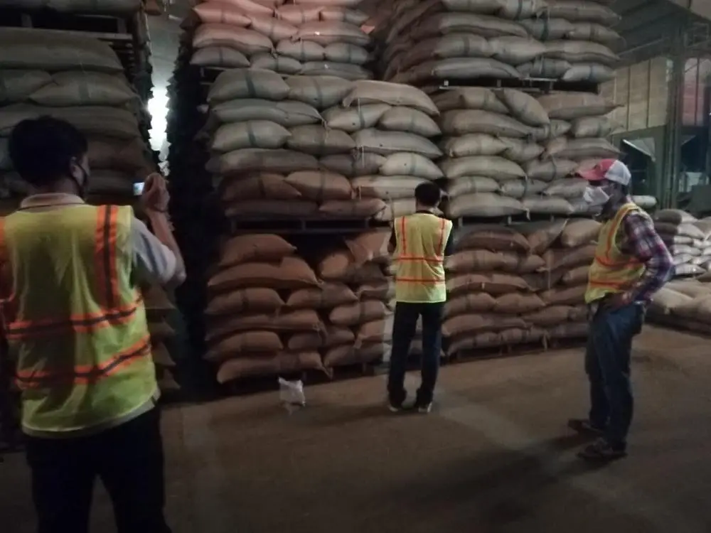  Зеленые кофейные зерна-Robusta