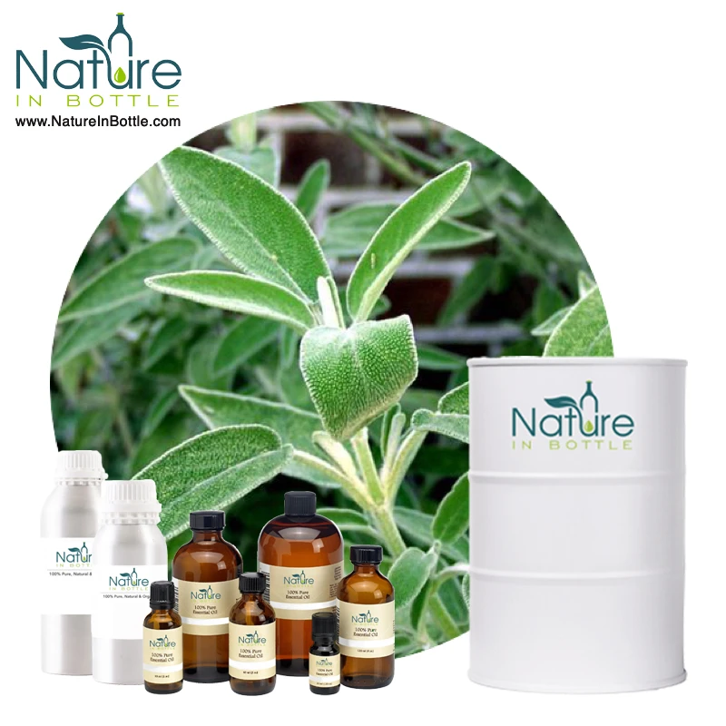 Common Sage Essential Oil | Dalmatian Sage Oil | Salvia officinalis - Organic & Natural Essential Oils - Private Labelling