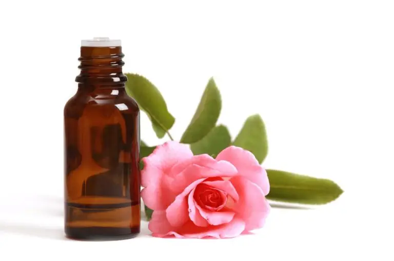100% Pure and Organic Wholesale Supplier Essential Bulgarian Rose Oil