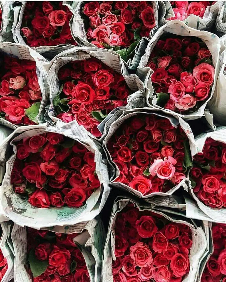 
Valentines Day Fresh Cut Flowers Available... 