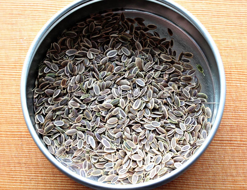 
FRESH DILL SEEDS ORIGIN INDIA FROM NIK-MAY EXPORTS 