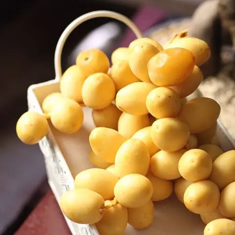 
 Barhi даты | Желтый даты barhi 100% свежий и естественный с самыми лучшими ценами и скидка  