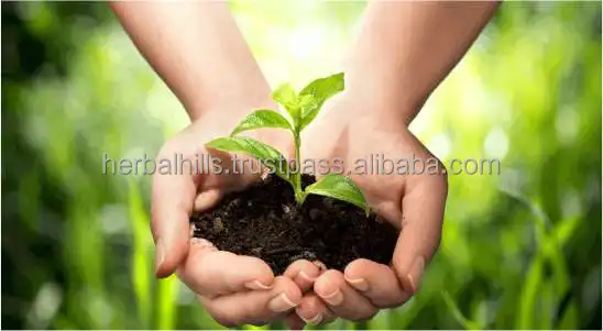 
Best quality Health care supplement Iron veggie tablets, Superfood 