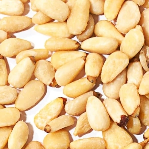 pine nuts importers