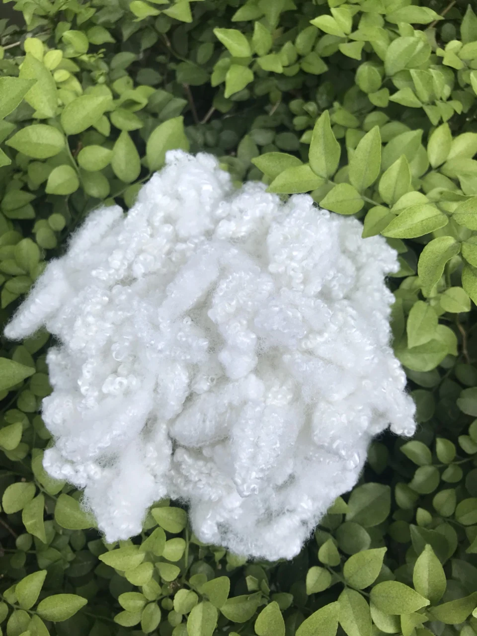 Regenerated Polyester Staple fiber 7D/15D HCS & 7D/15D HCNS