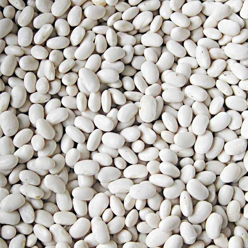 Высококачественная сушеная белая фасоль японского типа