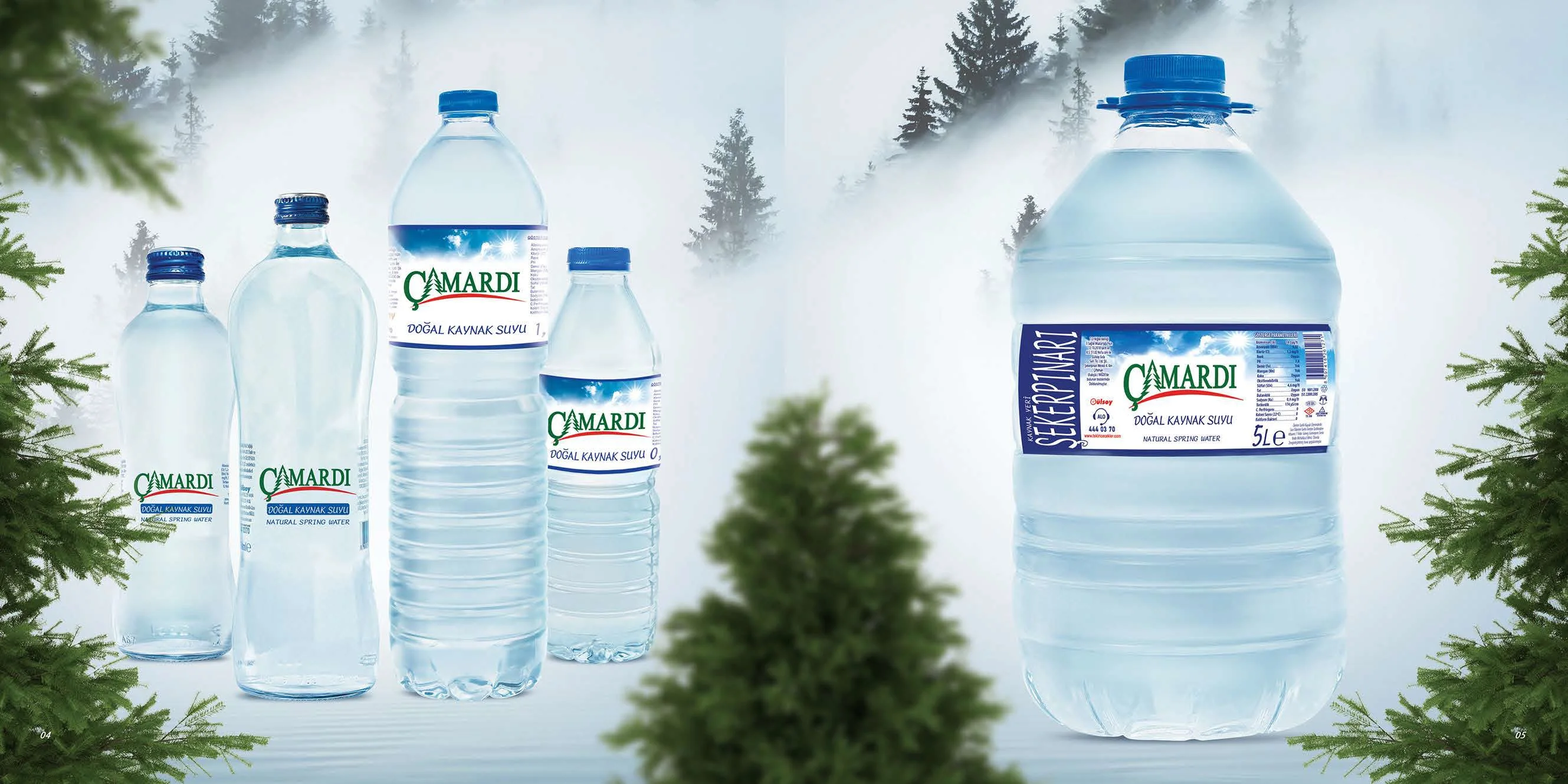 Natural Alkaline Mountain Spring Water